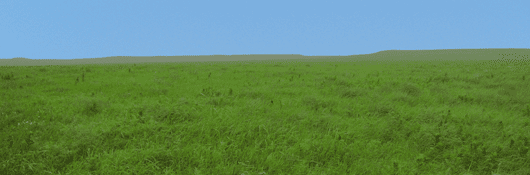 The Green Sea The Green Sea